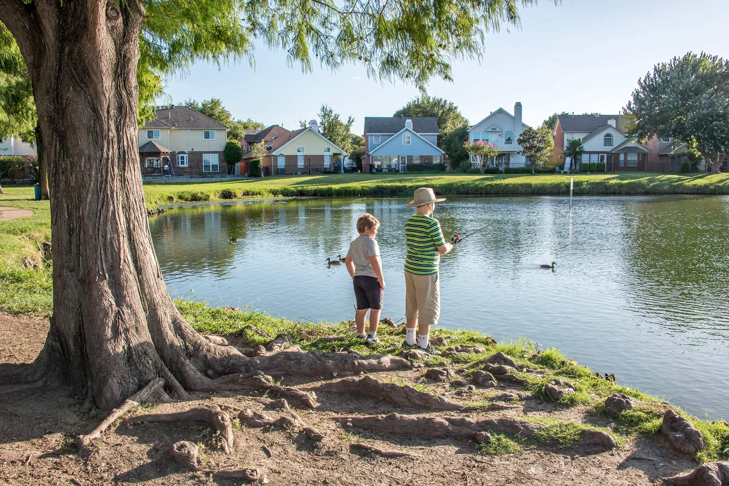 Artificial grass in Flower Mound, TX
