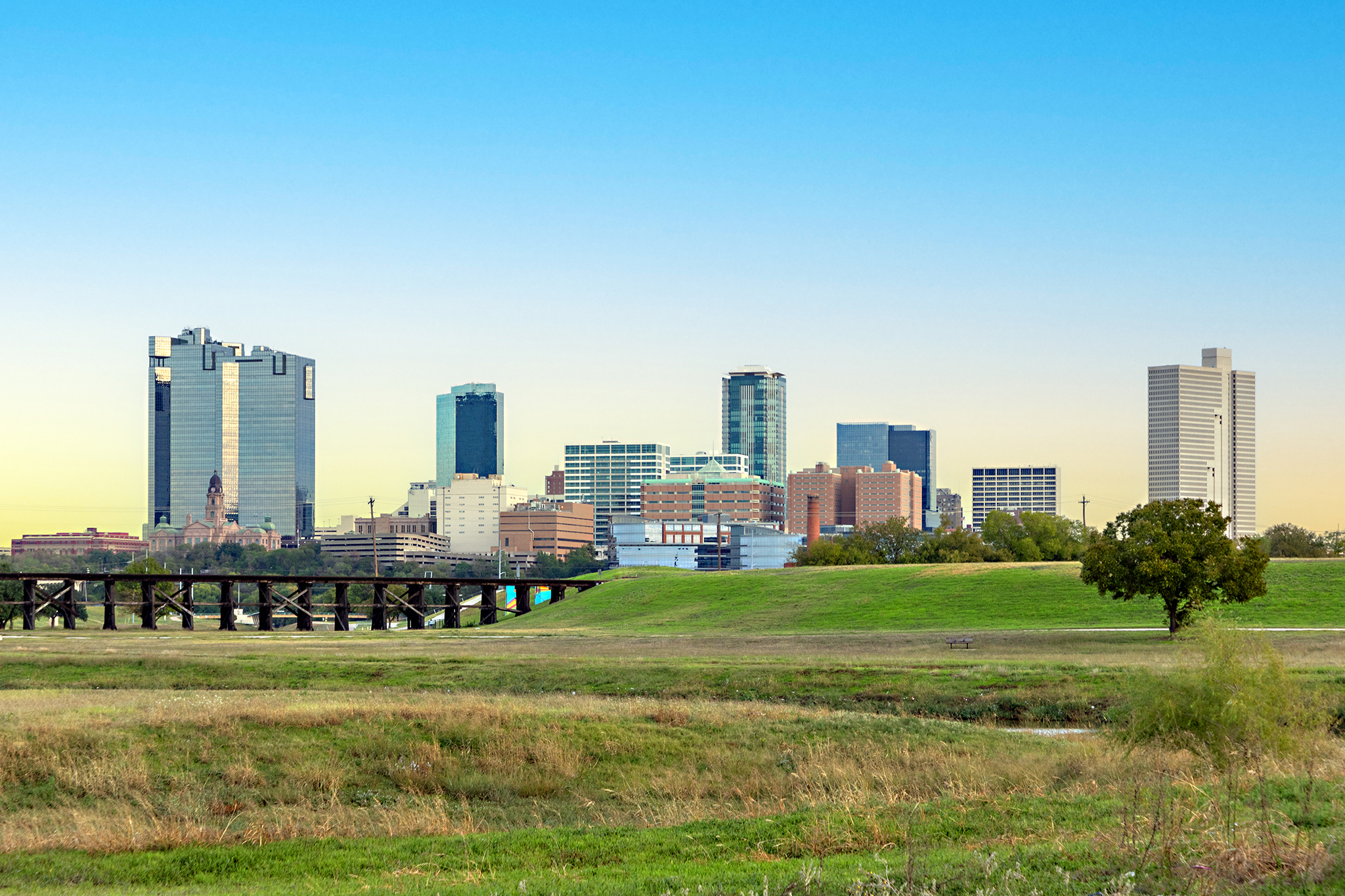 Artificial grass in Frisco, TX